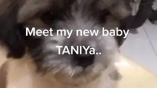 Baby Taniya