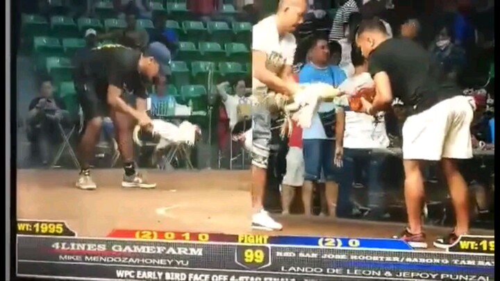 Top Rank 3 Sigoy White at Manila