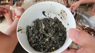 MÓN PỊA CÁ RÔ __ TIKTOK ĐỜI SỐNG TÂY BẮC #shorts