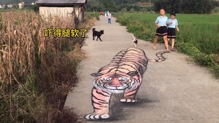 在马路上画一只老虎，狗子吓得都不敢过了！太好玩了！