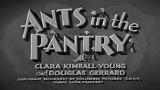 The Three Stooges - 012 - Ants In The Pantry