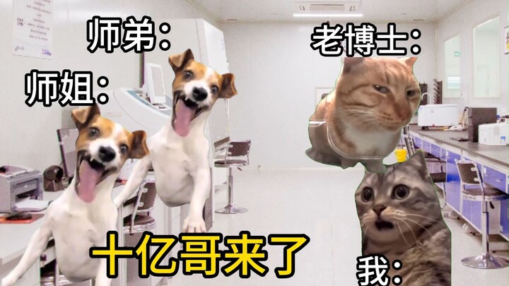 Khi tôi nộp đơn xin 1 tỷ đô la tiền quỹ nghiên cứu cho người cố vấn của tôi