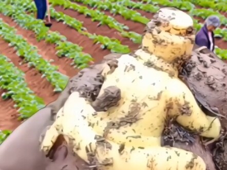 The way crops grow is really strange and unusual.