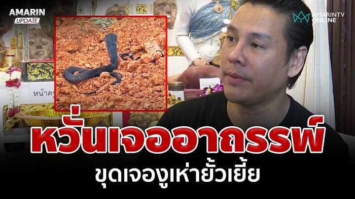 สะพรึง! ขุดเจอครอบครัวงูเห่าเลื้อยยั้วเยี้ย จิลล์ชี้นำไปปล่อย-อย่าฆ่า | อมรินทร์อัปเดต