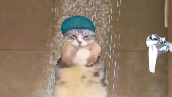 Những thứ đáng ghét trong cuộc sống #Kịch ngắn meme về mèo #Giả lập chân thực #Mèo lý sự khó ai cãi 