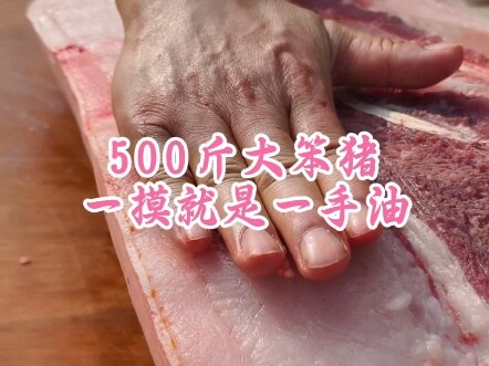A 500-jin giant pig—touch it and your hand’s covered in grease!