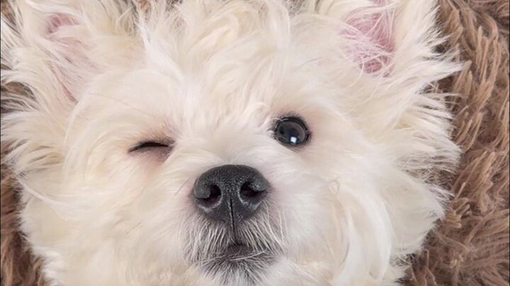 Pengalaman Pertama Yudi Xiaobai ke Salon: Cuci, Potong, dan Blow Rambut