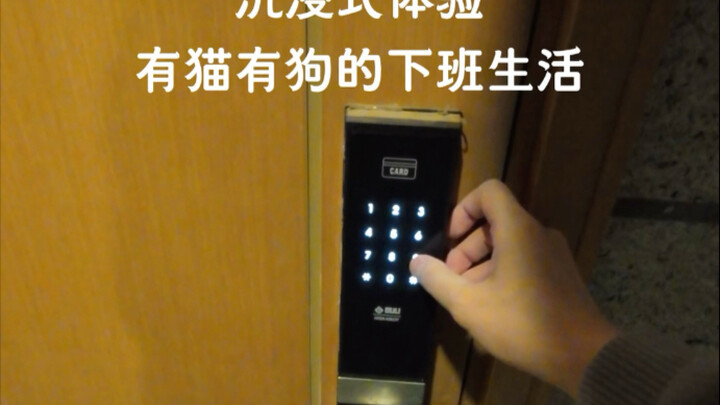 As always, you handle the cat cuddles and dog petting—leave the work to me.