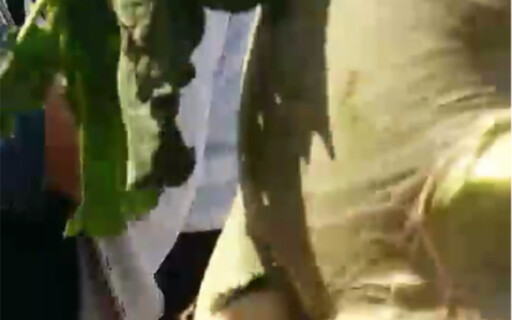 آه، ماذا تفعل؟