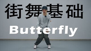 【蝴蝶但是街舞动作】Butterfly 街舞基础入门丨hiphop元素