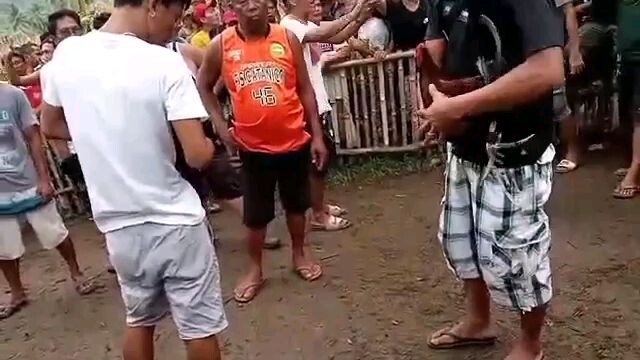grabe bai jorja