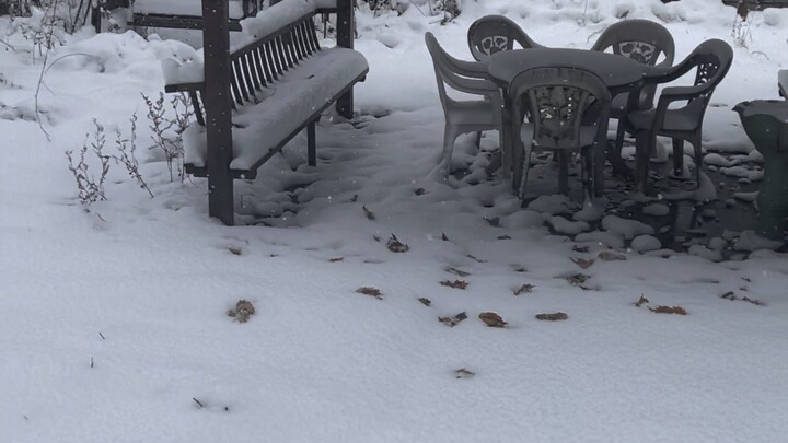 Let the kids in the south see some snow [Finding a partner doge] It’s much thicker than it was two d