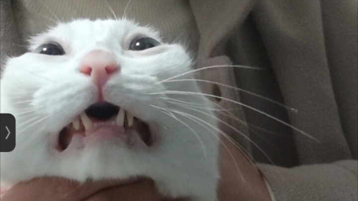 Mom, my hair’s a bit too tight.