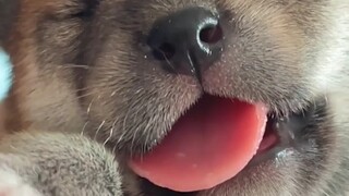 So cute!