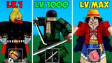 Blox Fruits Noob to Pro as Every Strawhat Member
