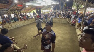 Melsim block 2xwinner