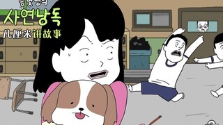 【几厘米讲故事】夏日骚动&隔壁的大叔