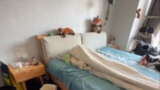 เหอเป่ยเป็นพื้นที่แห่งความภักดีและความชอบธรรม!