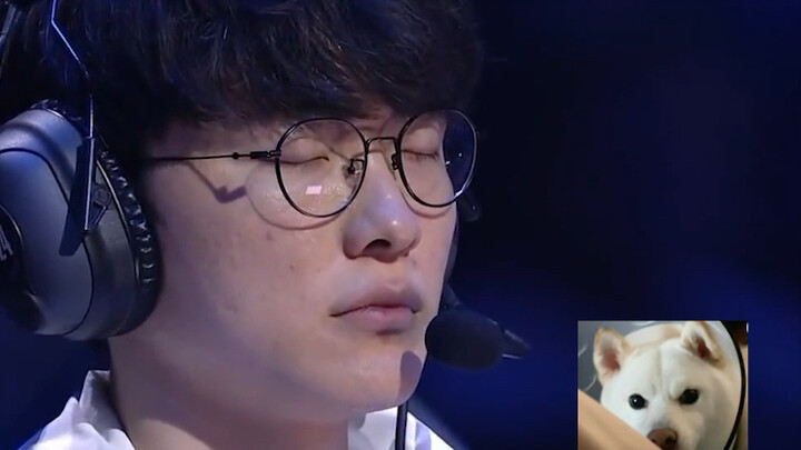 [Dog-Touting] Why Dog-Touting Is a Commentary Genius!!!