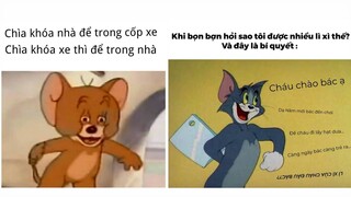 Ảnh chế cartoon p2 || chủ đề tom and jerry || ĐLT ảnh chế