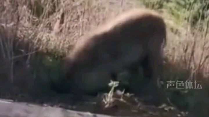 Anh trai, ánh mắt thật tuyệt!