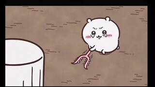 世界上最勇敢的吉伊宝宝