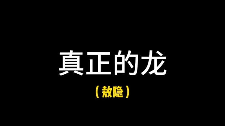 อาจารย์ตงหวง: มังกรปลอมกับมังกรแท้