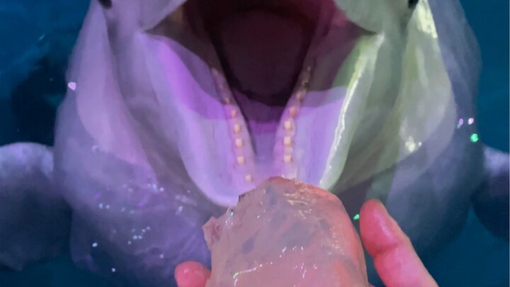 Xiao Hei eating with original sound