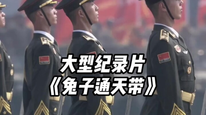 Top server, thành tích có thể tra cứu #Thỏ #Thế Hệ Thông Thiên #Phim Tài Liệu Quy Mô Lớn