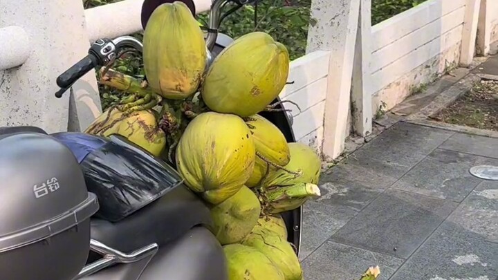 I often feel insecure because I’m too sensitive and easily embarrassed.