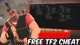 SEOWNED BEST FREE TF2 CHEAT | RAGE|  LEGIT | ESP