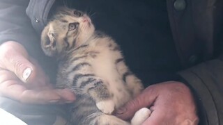 “你看，这个世界好温柔！”