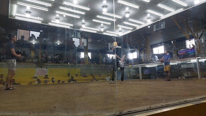 3JM BACKYARD (White Choco)