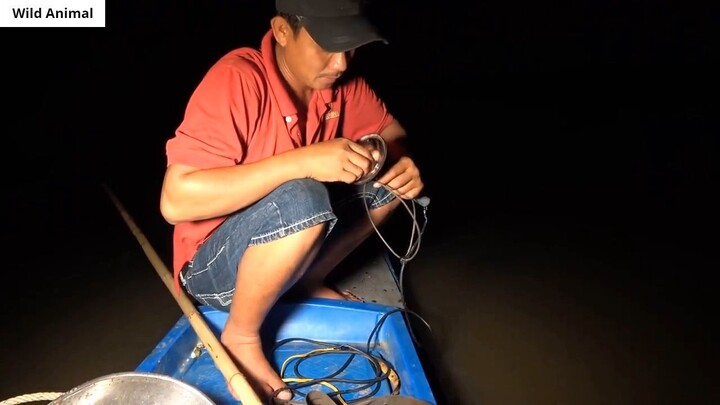 Chụp Chim Ban Đêm _ Hunting Birds at Night _ 8