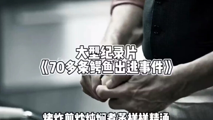 大型纪录片《70多条鳄鱼出逃事件》
