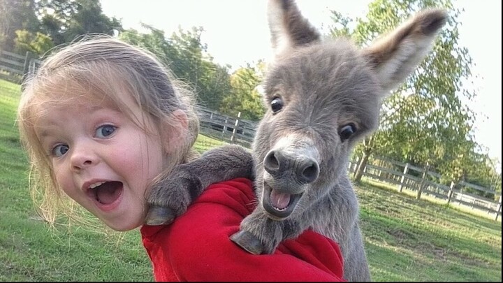 When the Animal Distribution System Chooses Your Baby as Their Best Friend