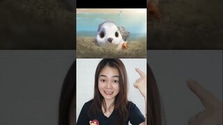 BURUNG KECIL MAU JADI MANDIRI  ?!?