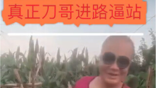 【Dua Dimensi Dao Ge】Bermain denganmu, kamu pasti kalah