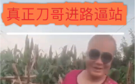 【Đao Ca Nhị Chi Nguyên】Chơi với bạn, bạn nhất định thua