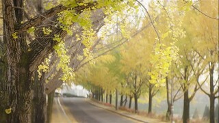 When The Weather Is Nice S01E06