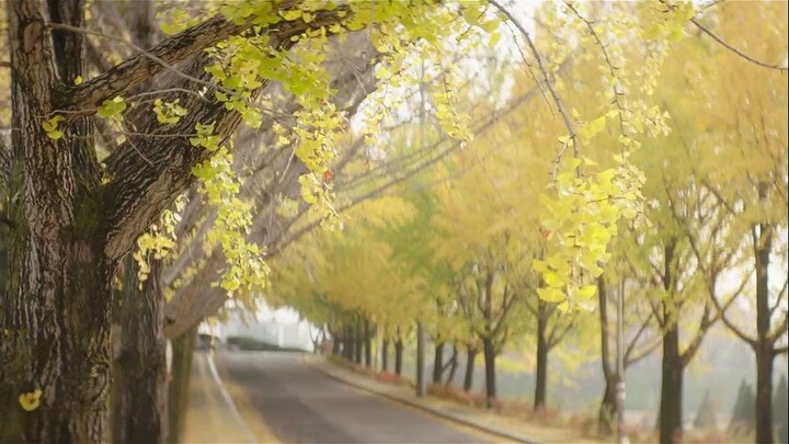 When The Weather Is Nice S01E06