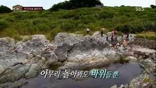 Law of the Jungle in New Zealand | Chattam Islands [2] SUB INDO