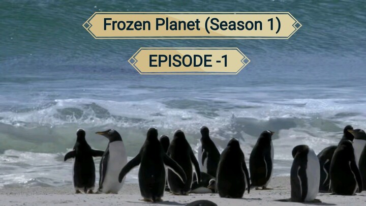 Frozen Planet (Season 1) Dual Audio {Hindi-English) EPISODE -1