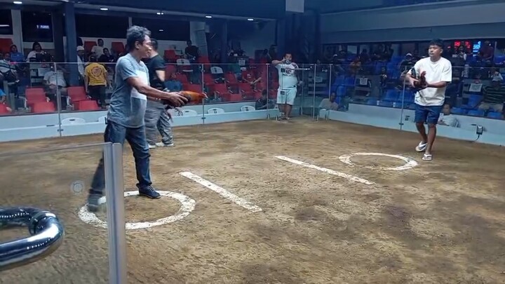 2x winner na pumkin x gilmore 🐓