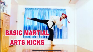 BASIC MARTIAL ARTS KICKS