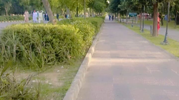 A visit to Park