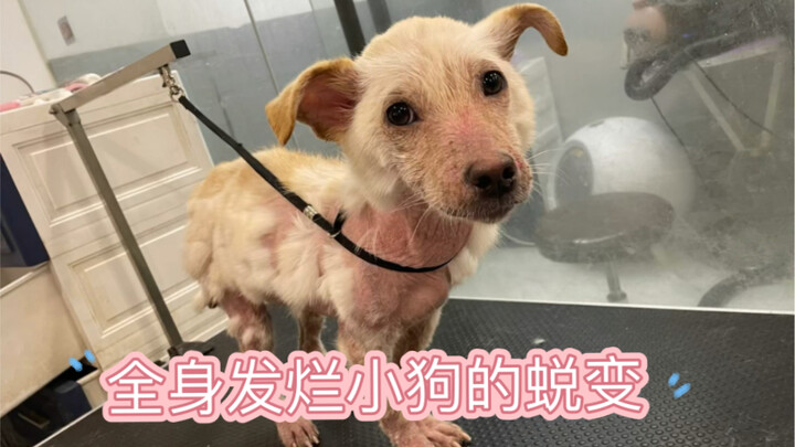 Will I Be Happy, and When?