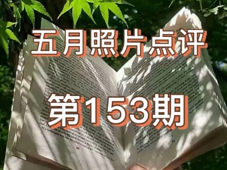 评论区摄影大赛之困在牢笼里的爱vs学校系列风格