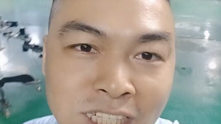 Lợi thế chi phí ở vùng vĩ độ thấp không bền vững; chỉ có lợi thế chi phí đến từ việc nâng cao hiệu q