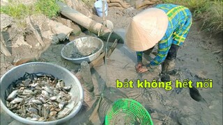 Bắt Cá Cạn Không Ngờ Được Nhiều Đến Vậy